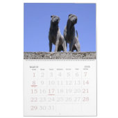 Chinese Shar Pei 15-monatiger Kalender (Mär 2026)