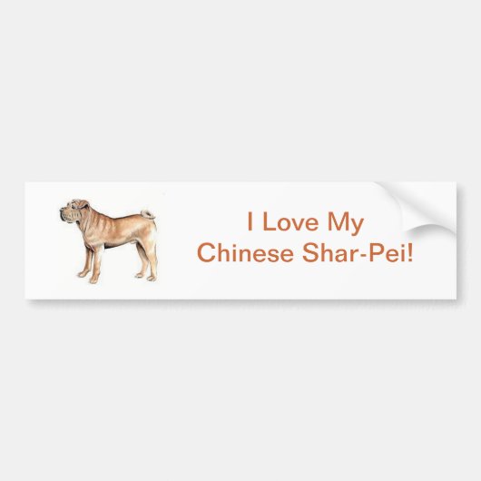 Chinese Shar-Pei Autoaufkleber (Vorne)