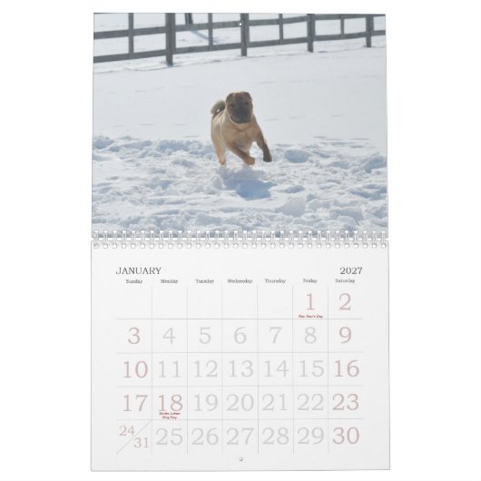 Chinese Shar-pei Kalender (Jan 2027)
