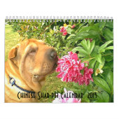 Chinese Shar-pei Kalender (Titelbild)