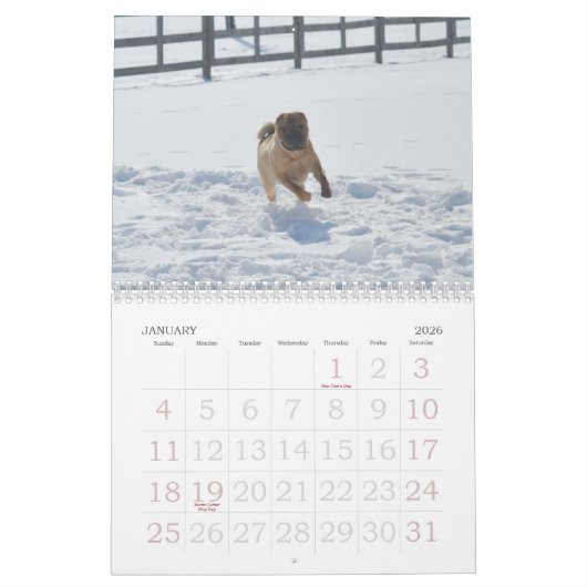 Chinese Shar-pei Kalender (Jan 2026)