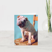 Chinese Shar-Pei Karte (Vorderseite)