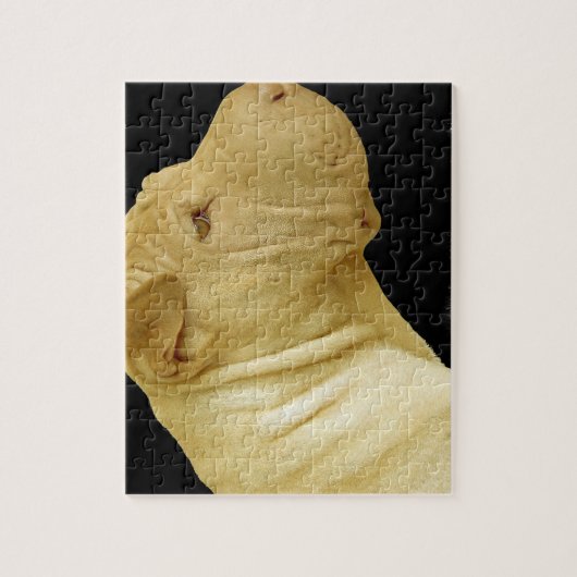 Chinese Shar-Pei Puzzlespiel Puzzle (Vertikal)