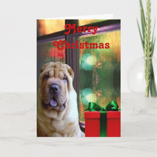 Chinese Shar-pei Weihnachtskarten Feiertagskarte (Vorderseite)