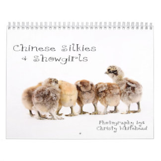 Chinese Silkie u. Revuegirl-Kalender Kalender