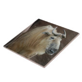 chinese-takin-5 fliese (Seite)