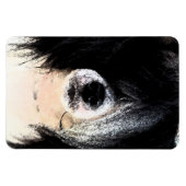 Chinesisch beglaubigt magnet (Horizontal)