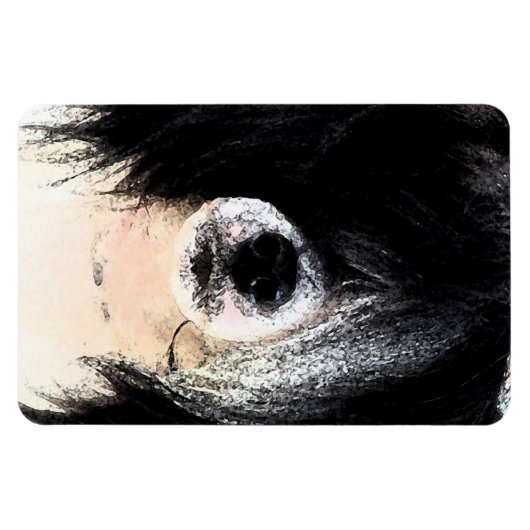 Chinesisch beglaubigt magnet (Horizontal)