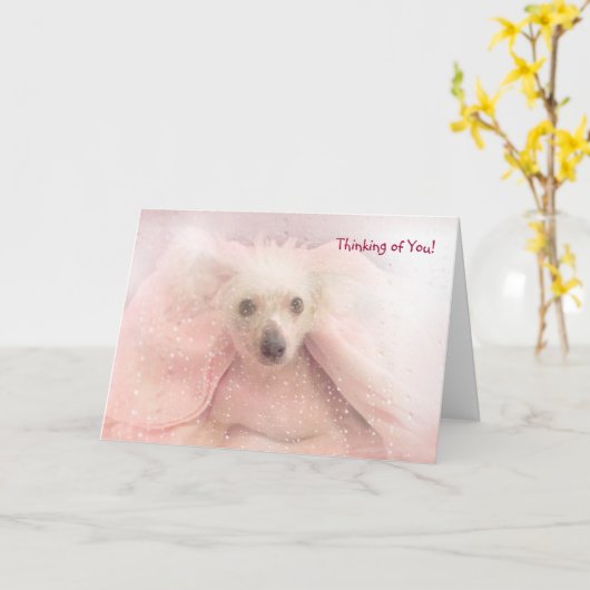 Chinesisch-Credits-Pup Karte (Gelbe Blume)