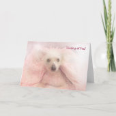 Chinesisch-Credits-Pup Karte (Vorderseite)