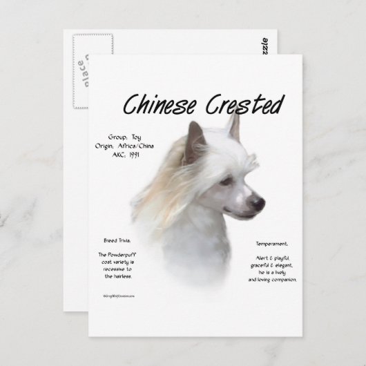 Chinesisch-Crested-History-Design Postkarte (Vorne/Hinten)