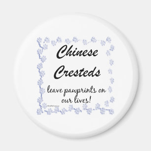 Chinesisch entworfene Bilder - Magnet