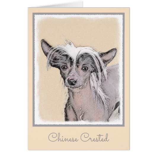 Chinesisch entworfene haarlose Malerei Original Hu (Vorne)