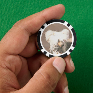 Chinesisch entworfene haarlose Malerei Original Hu Pokerchips
