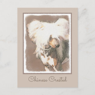 Chinesisch entworfene haarlose Malerei Original Hu Postkarte