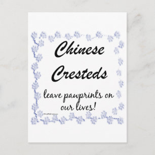 Chinesisch entworfene Pawprints Postkarte