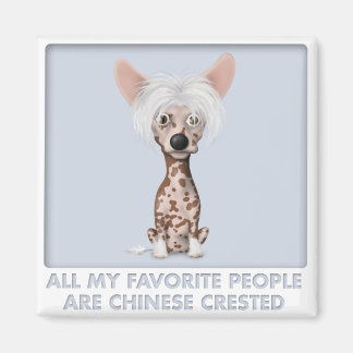 Chinesisch erfunden 1 Favorit Magnet