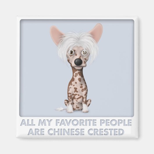 Chinesisch erfunden 1 Favorit Magnet (Vorne)
