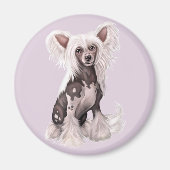 Chinesisch-fliegenlos Magnet (Vorne)