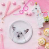 Chinesisch gezapfte Powderpuff-Malerei - Hundekuns Pappteller (Party)