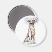 Chinesisch hairless magnet (Vorderseite/Rückseite)