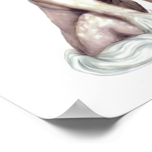 Chinesisch hairless poster (Ecke)