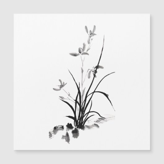 Chinesisch Iris - bw Magnetkarte (Vorderseite)