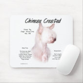 Chinesisch-kreiertes (haarloses) Geschichtsdesign Mousepad (Mit Mouse)