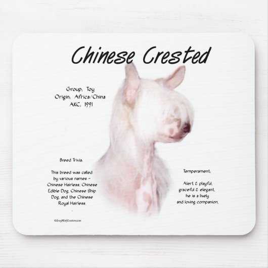 Chinesisch-kreiertes (haarloses) Geschichtsdesign Mousepad (Vorne)