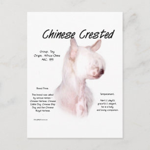 Chinesisch-kreiertes (haarloses) Geschichtsdesign Postkarte