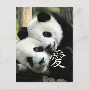 Chinesisch liebende kleine Riesenpandas Postkarte