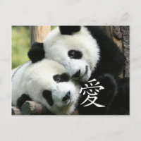 Chinesisch liebende kleine Riesenpandas