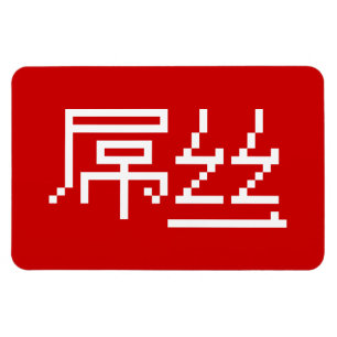 Chinesisch Loser / Diaosi 屌 丝 Hanzi MEMO Magnet