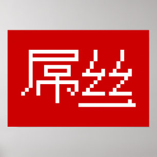 Chinesisch Loser / Diaosi 屌 丝 Hanzi MEMO Poster