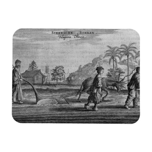 Chinesische Bauern, eine allgemeine Beschreibung a Magnet (Horizontal)