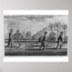 Chinesische Bauern, eine allgemeine Beschreibung Poster