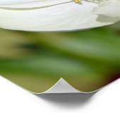 Chinesische Blume Poster (Ecke)