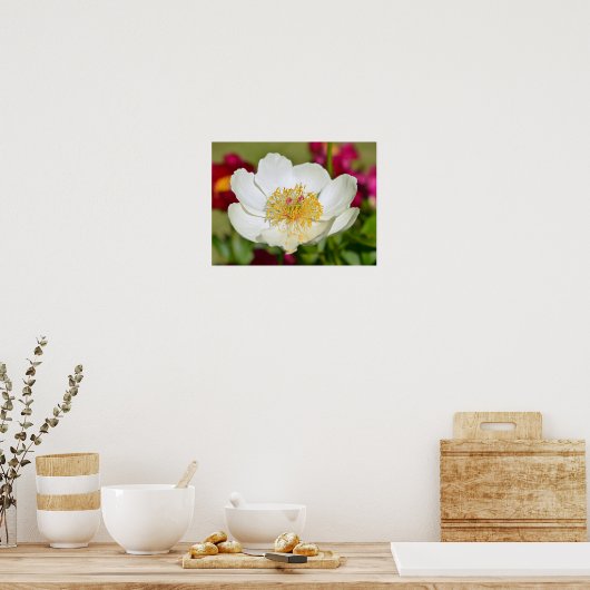 Chinesische Blume Poster (Küche)