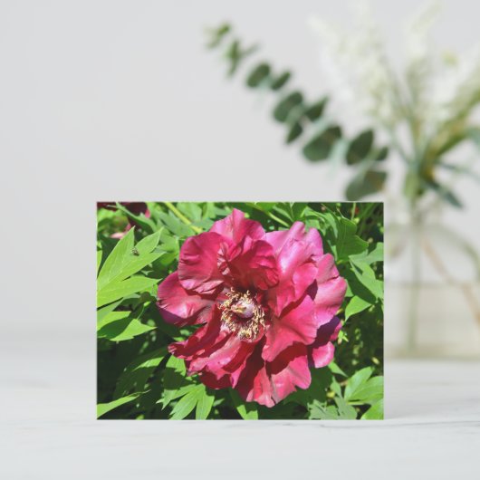 Chinesische Blume Postkarte (Stehend Vorderseite)