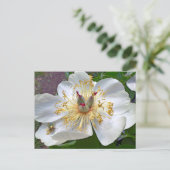 Chinesische Blume Postkarte (Stehend Vorderseite)