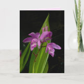 Chinesische Bodenorchideen Karte (Vorderseite)