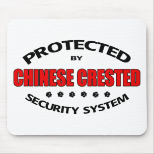 Chinesische Crested-Hunde-Sicherheit Mousepad