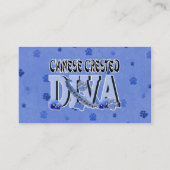 Chinesische DIVA mit Haube Visitenkarte (Rückseite)