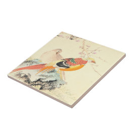 Chinesische Fasane Imao Keinen Vögel und Sakura Fliese