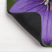 Chinesische Glockenblume Mousepad (Ecke)
