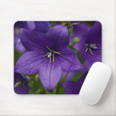 Chinesische Glockenblume Mousepad (Mit Mouse)