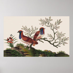 Chinesische Golden Pheasants Elegante romantische  Poster