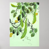 Chinesische Gurke Poster (Vorne)