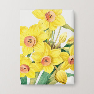 Chinesische Heilige Lilie, Pierre-Joseph Redouté,  Button