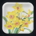 Chinesische Heilige Lilie, Pierre-Joseph Redouté,  Pappteller<br><div class="desc">Pierre-Joseph Redouté,  1805
... ..Narcissus tazetta,  Paperwhite,  französisch,  Blumen,  floral,  botanischer Druck,  vintage,  retro,  hell,  kräftig,  lebendig,  lebhaft,  Natur,  natürlich,  formell,  anspruchsvoll,  minimalistisch,  Minimalismus,  orange,  gelb,  grün,  zart,  elegant,  anspruchsvoll,  stattlich,  chic,  Zeichnung,  cottagecore</div>